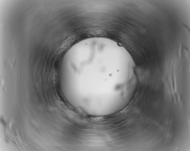 X0000102010132200807180919
