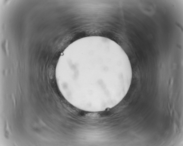 X0000102010133200807180919