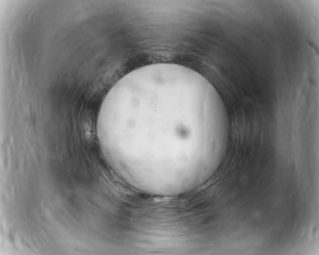 X0000102010134200807180919
