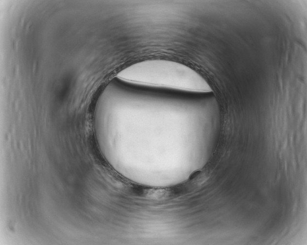 X0000102010135200807180919