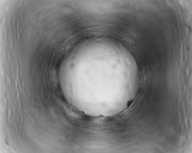 X0000102010136200807180919