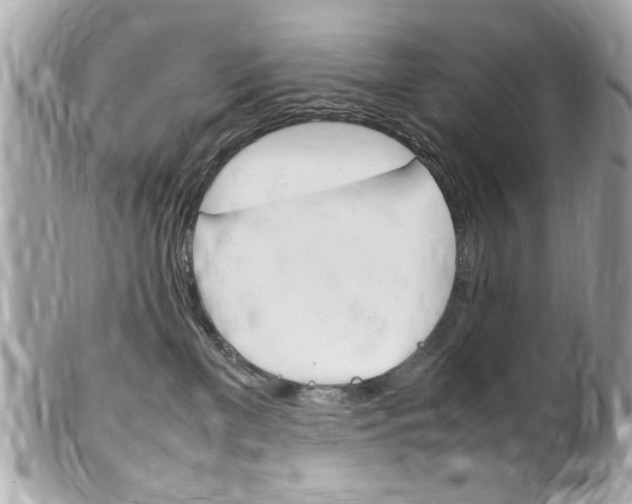X0000102010137200807180919