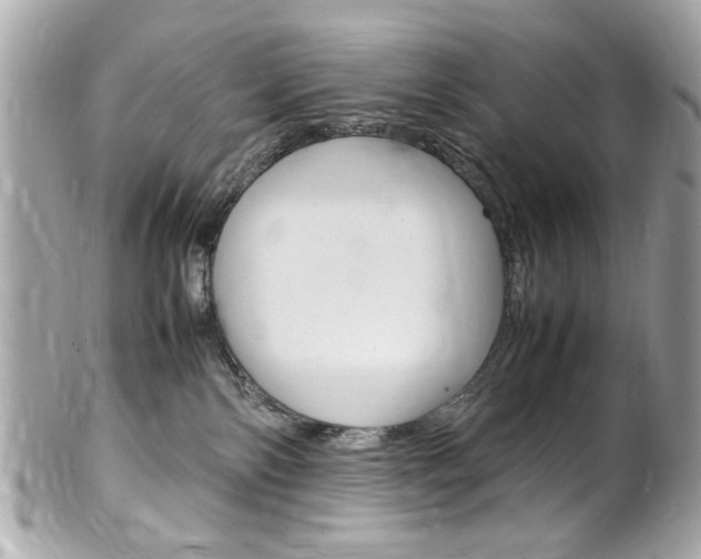 X0000102010138200807180919