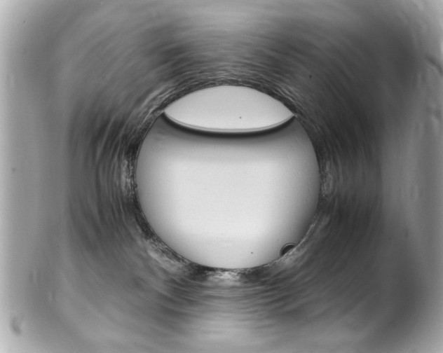 X0000102010140200807180919