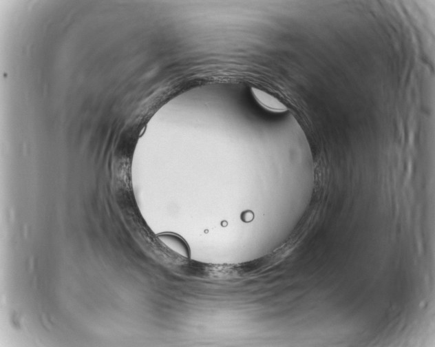 X0000102010141200807180919