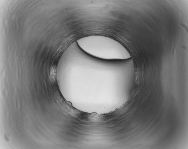 X0000102010142200807180919