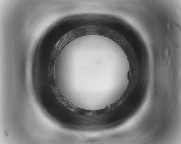 X0000102010143200807180919