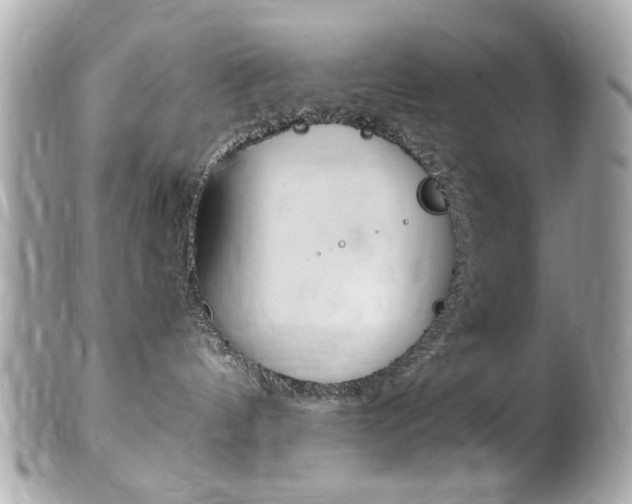 X0000102010144200807180919