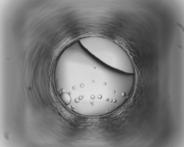 X0000102010145200807180919