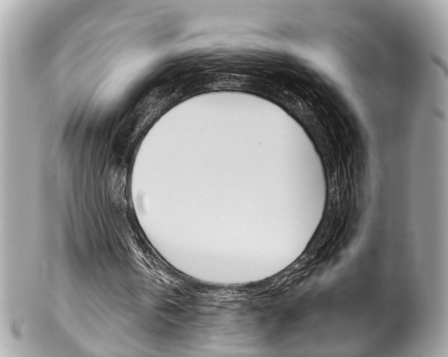 X0000102010146200807180919