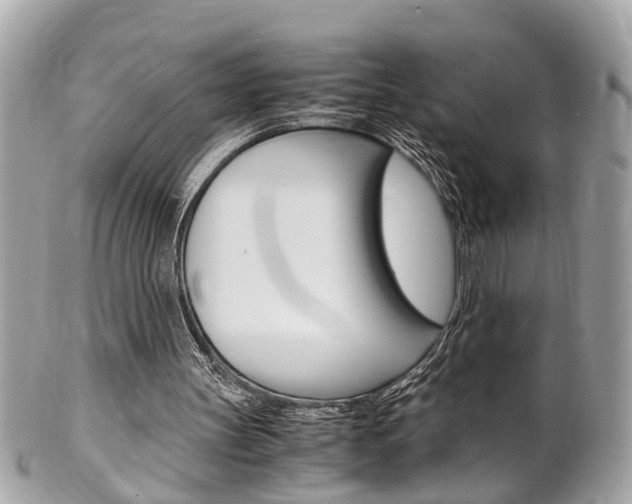 X0000102010147200807180919