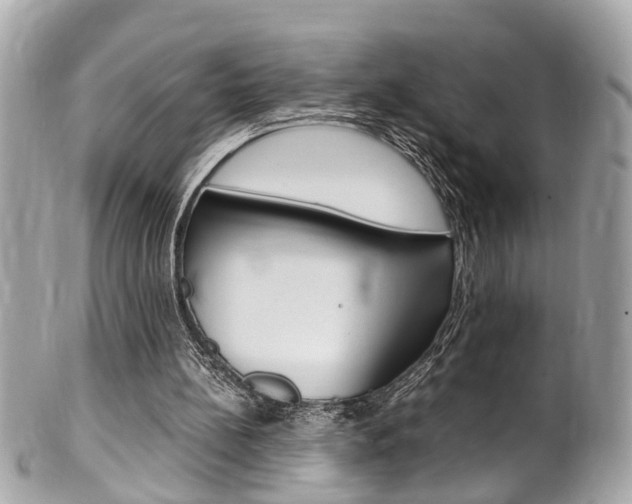 X0000102010148200807180919