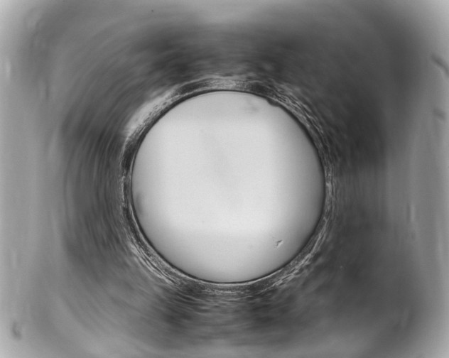 X0000102010149200807180919