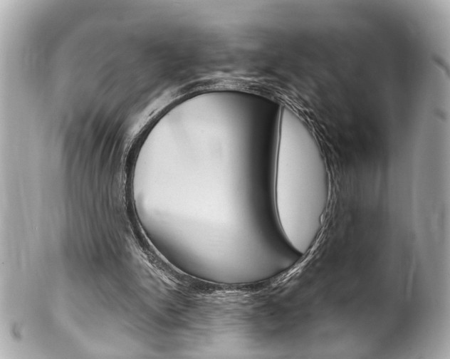 X0000102010150200807180919