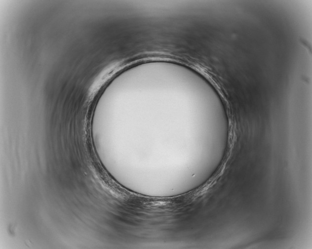 X0000102010151200807180919
