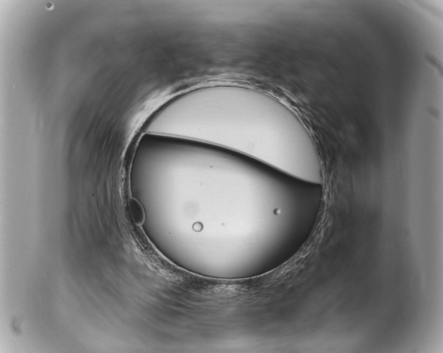 X0000102010152200807180919