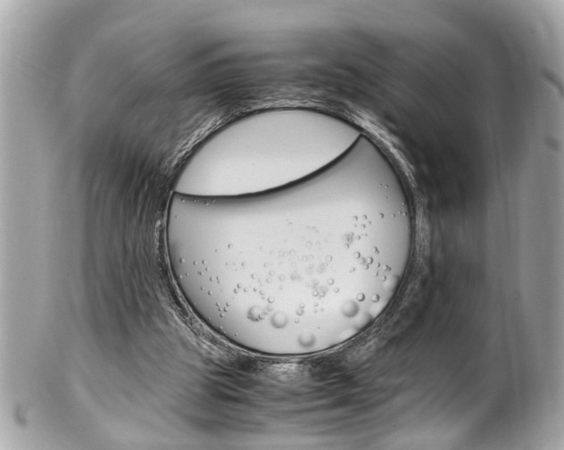 X0000102010153200807180919