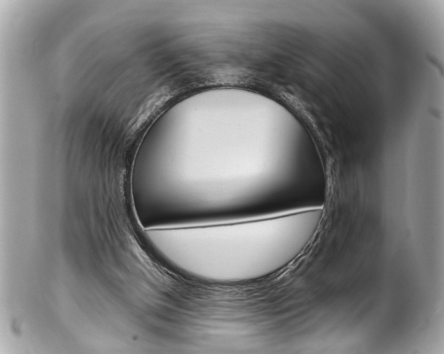 X0000102010154200807180919