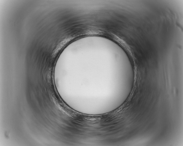 X0000102010155200807180919