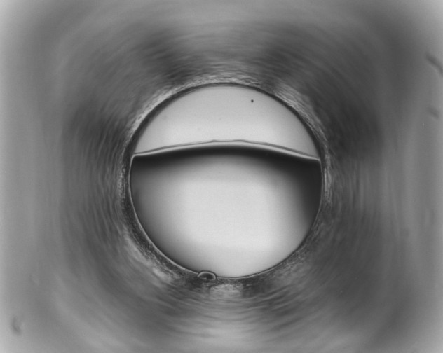X0000102010156200807180919