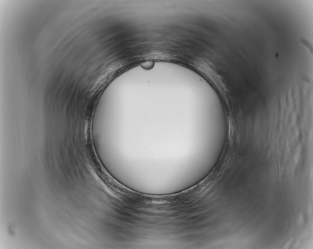 X0000102010157200807180919