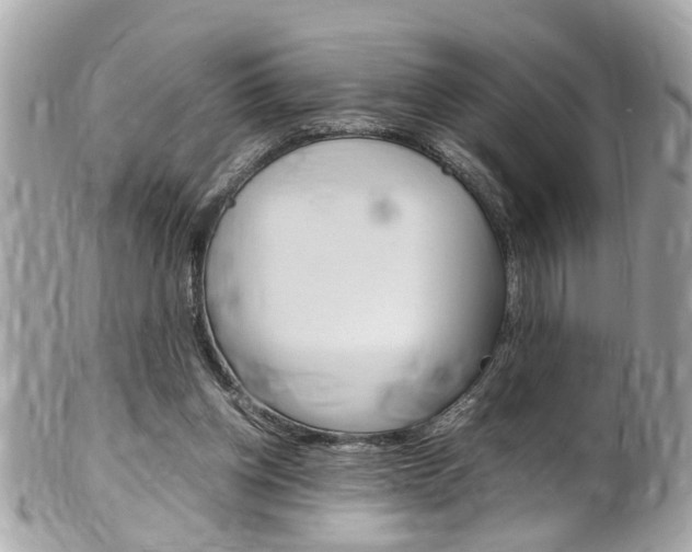 X0000102010158200807180919