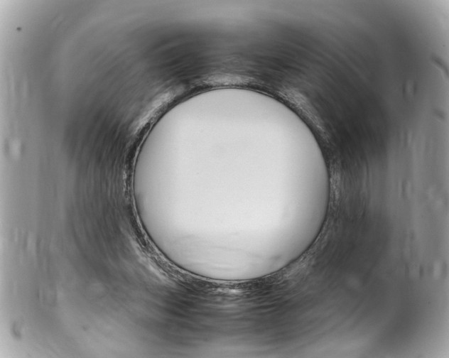 X0000102010159200807180919