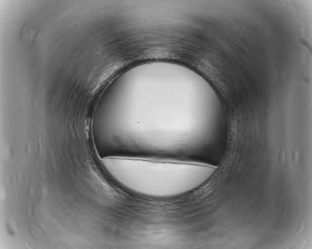X0000102010160200807180919