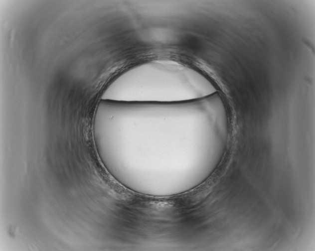 X0000102010161200807180919