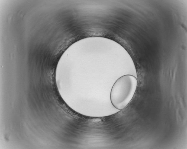 X0000102010162200807180919