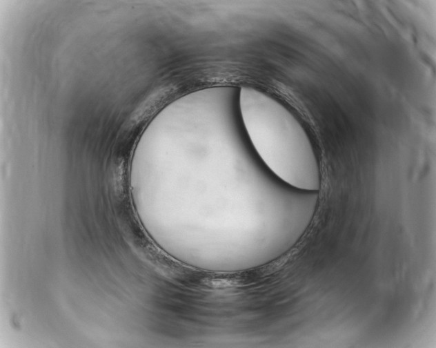X0000102010163200807180919
