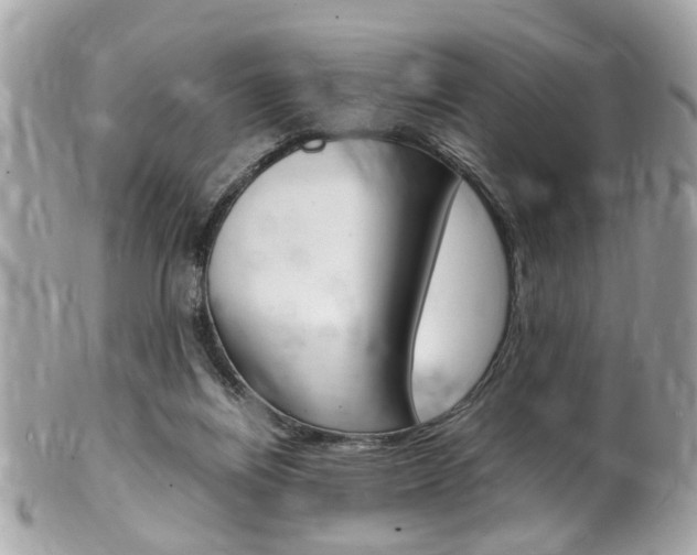 X0000102010164200807180919