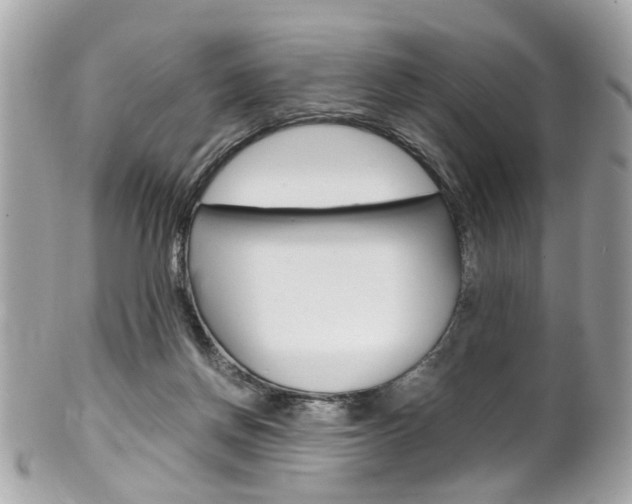 X0000102010166200807180919