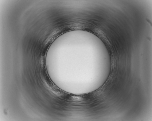 X0000102010167200807180919