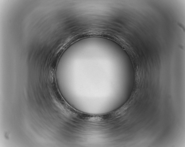 X0000102010168200807180919