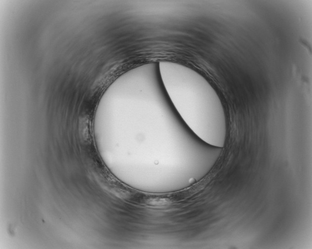 X0000102010169200807180919