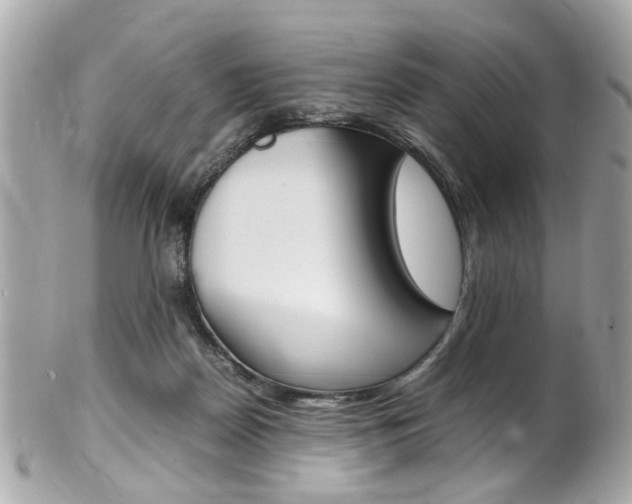 X0000102010170200807180919