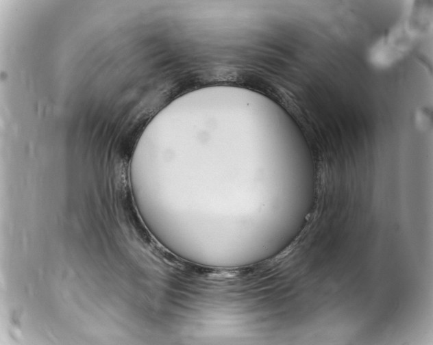 X0000102010172200807180919