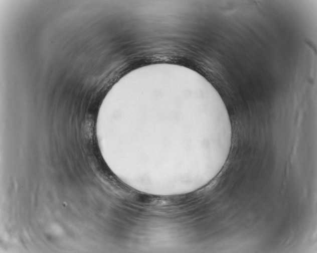 X0000102010174200807180919