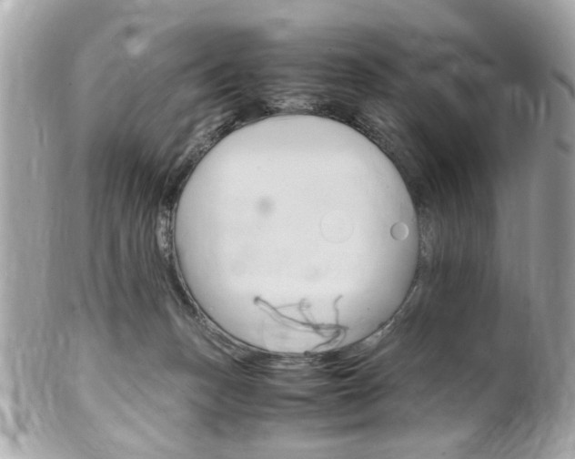 X0000102010175200807180919