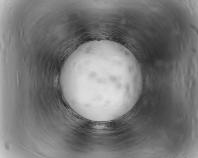 X0000102010177200807180919