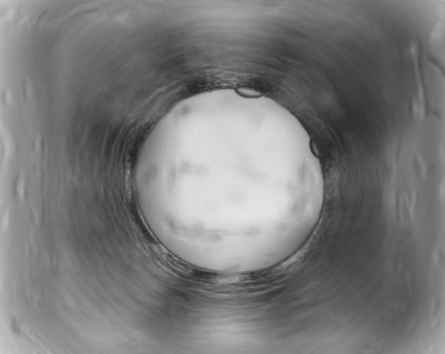 X0000102010178200807180919
