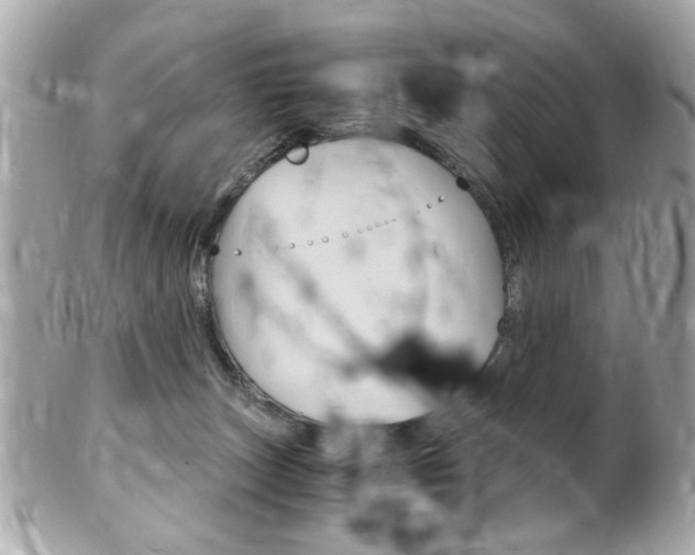 X0000102010179200807180919