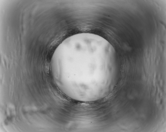 X0000102010180200807180919