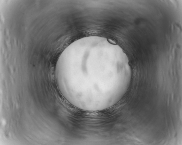 X0000102010181200807180919