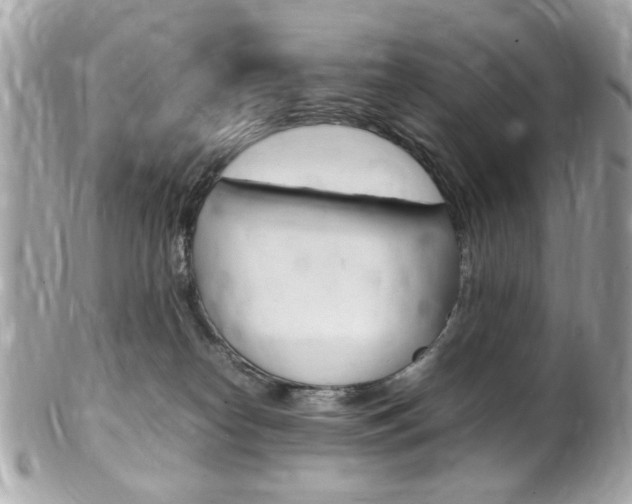 X0000102010182200807180919