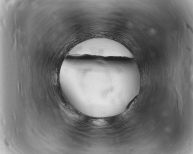 X0000102010183200807180919