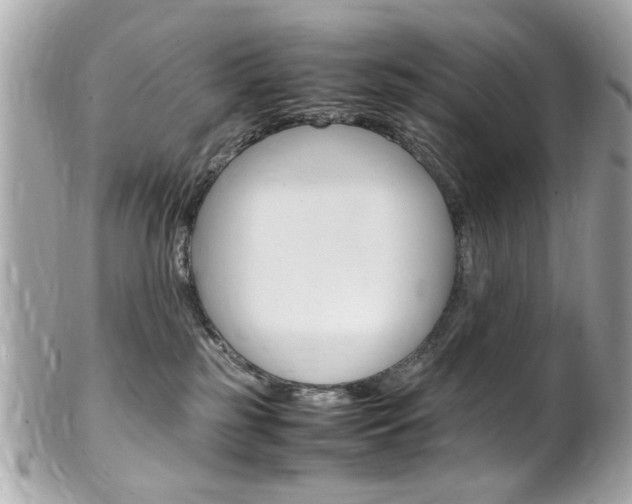 X0000102010185200807180919