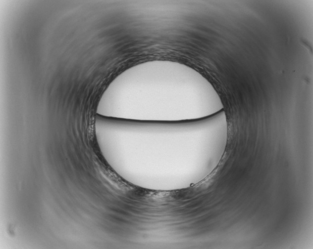 X0000102010186200807180919