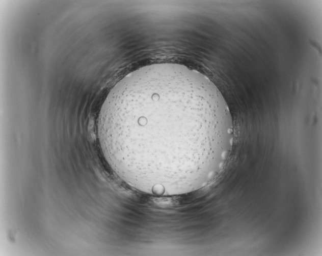 X0000102010187200807180919